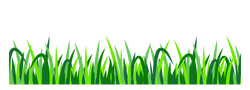 Artificial Grass Geelong Specialist